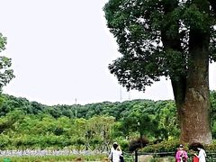 -韩湘水博园