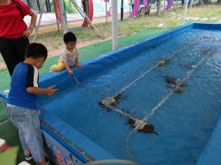 -萌宠亲子动物乐园(槐房万达店)