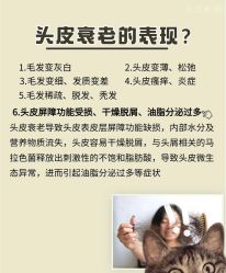 -Bollins波林丝•专研护发中心