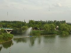 -上海长兴岛郊野公园