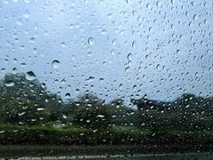 -泗洪洪泽湖湿地景区