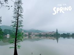 -美的鹭湖森林度假区