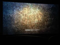 -华美国际影城(旧宫永辉店)