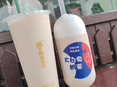 -猫的魔法密林(衣裳街店)