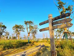 -春花秋色城市公园