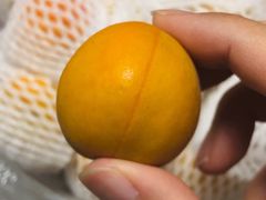 -鲜力达果品批发直销(无锡保利香槟店)