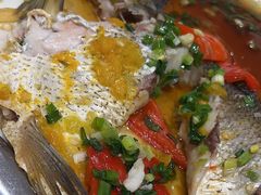 -丹江渔村(望京店)