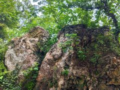 -南京金牛湖风景区