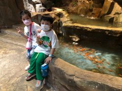 -宝燕乐园(闵行旗舰店)