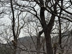 -句容茅山景区