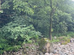 -陕西省红河谷森林公园