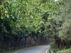 -小南山公园