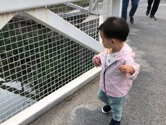 -兰溪青年公园