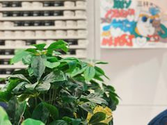 -Seesaw Coffee(武商MALL·武广店)