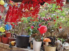 -鱼乐岛餐厅·户外花园主题餐厅