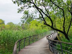 -西湖风景区-江洋畈生态公园