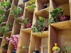 -小草大排档(北沙坡店)