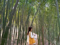 -沂蒙云瀑洞天景区