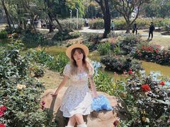 -人民公园(罗湖区)