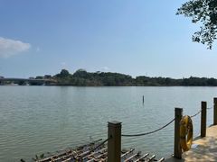 -华侨城湿地公园