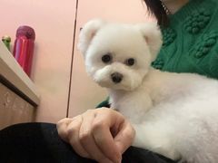-FAELING PETS美天灵宠物(富力广场店)