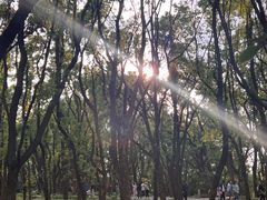 -东湖落雁景区