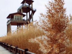 -野鸭湖国家湿地公园