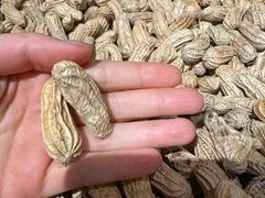 -泓0871臻选云南菜·味庄