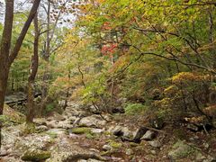 -丹东天桥沟景区