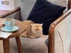 -咖法森林·咖啡  酒吧(天河店)