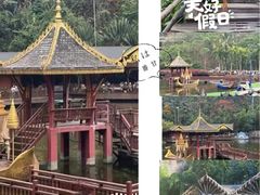 -西双版纳原始森林公园