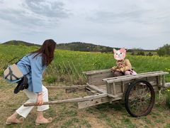 -西海岸生态观光园