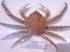 -中国湿地博物馆