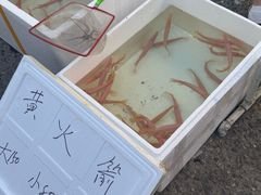 -中环花鸟鱼虫市场