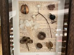 -二酉书店TOYOU BOOKS