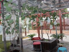 门面-美家乐农庄·露营·团建(大治路店)