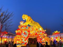 -淄博花灯齐彩城