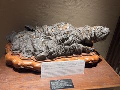 -南紀白浜 浜千鳥の湯 海舟