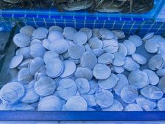 -海天盛宴潮汕蒸汽海鲜高端自助形象店