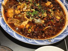 -新概念来凤鱼(璧山店)