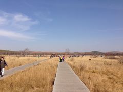 -塞罕坝国家级自然保护区