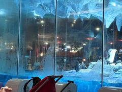 -帝企鹅自助餐厅•儿童岛•真企鹅(长隆企鹅酒店)