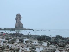 -石老人观光园