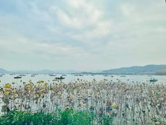-湖畔居茶楼(湖滨店)