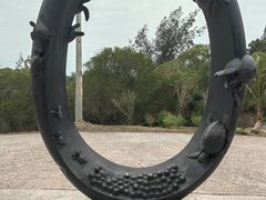 -广东惠东海龟国家级自然保护区