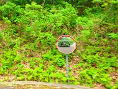 -吉林市朱雀山国家森林公园