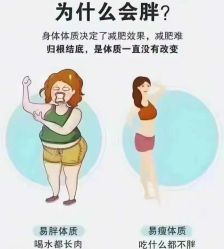 -Fundi张玉珊修身堂·indiba·BTL科技瘦身