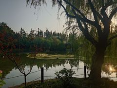 -瀛洲公园