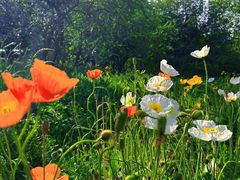 -国家植物园南园