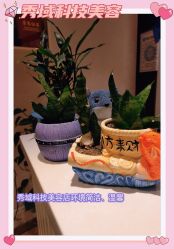 -秀域科技美容梅江店